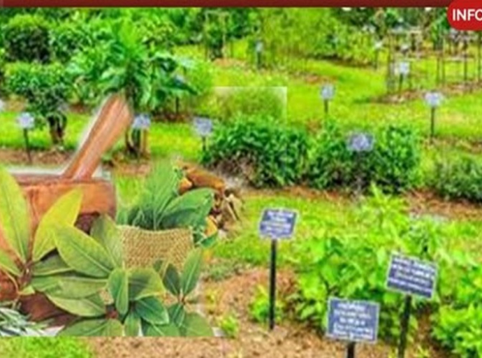 சுகாதார மற்றும் வெகுசன ஊடக அமைச்சின் &quot;தேசிய மூலிகை பயிர்ச்செய்கைத் திட்டம்&quot;
