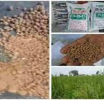போலியாகத் தயாரித்து அதிக விலைக்கு விற்கப்பட்ட ஒரு தொகை உரம் சுற்றி வளைப்பு
