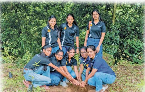 மகாவலி ஆற்றின் கரை அரிப்பைத் தடுப்பதற்காக மூங்கில் நடும் திட்டம்.