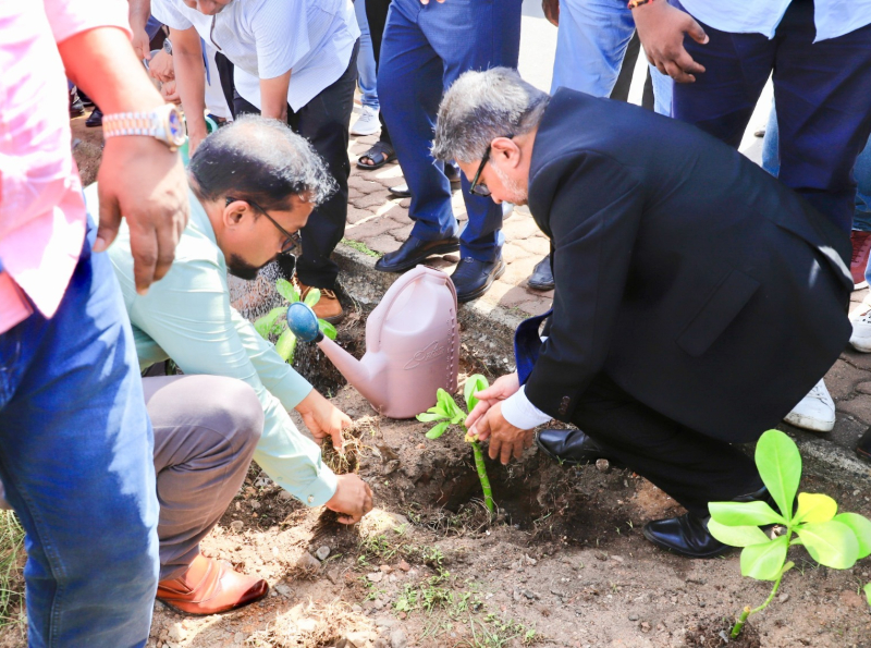 உலக சுற்றாடல் தினத்திற்காக &quot;Clean Sri Lanka&quot; வேலைத்திட்டத்துடன் இணைந்த வகையில்  மரங்களை நட்டு பராமரிக்கும் திட்டம்