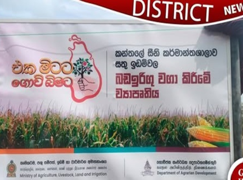 கந்தளாயில் செய்கை பண்ணப்படாத இடங்களில் பயிரிடுவதற்கான தேசிய திட்டம்