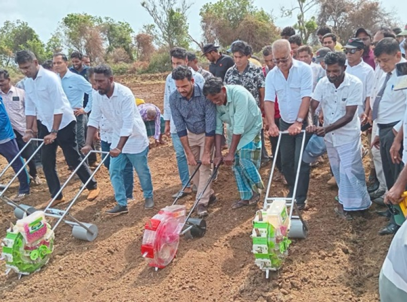 கந்தளாயில் 2000 ஏக்கர் விவசாய நிலம், சோள செய்கைக்காக விவசாயிகளுக்கு கையளிப்பு