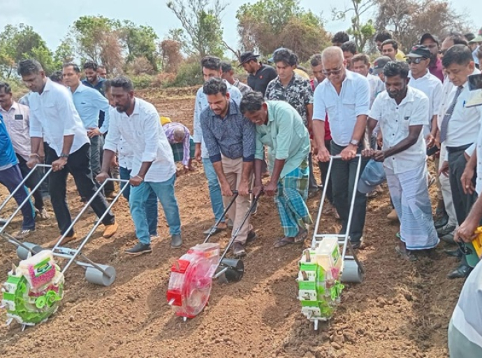 கந்தளாயில் 2000 ஏக்கர் விவசாய நிலம், சோள செய்கைக்காக விவசாயிகளுக்கு கையளிப்பு