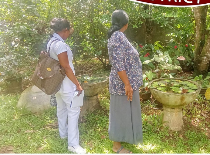 கெஸ்பேவயில் டெங்கு மற்றும் சிக்குன்குனியா தடுப்பு விசேட வேலைத்திட்டம்