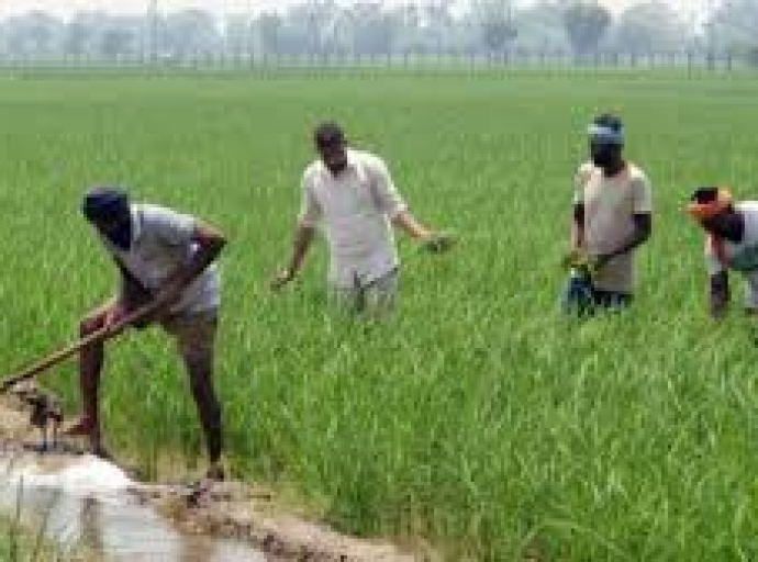 விவசாயிகளின் ஓய்வூதிய சம்பளப் பிரச்சினைக்குத் தீர்வு
