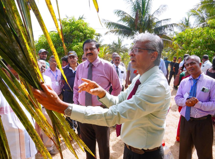தென்னை மரங்களில் வெள்ளை ஈ தாக்கத்தை கட்டுப்படுத்தும் செயற்பாடுகள் இன்றிலிருந்து ஆரம்பம்