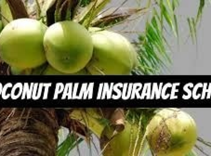 தென்னை உற்பத்திக்கு புதிய காப்புறுதித் திட்டம்