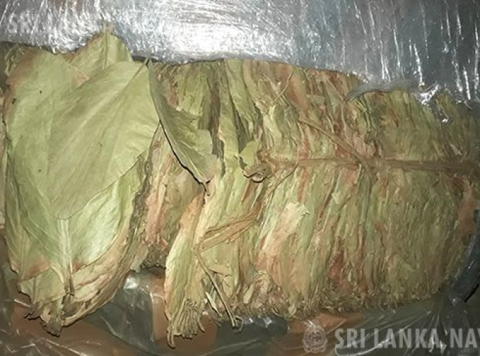 சட்டவிரோதமாக நாட்டிற்கு கொண்டு வரப்பட்ட பீடி இலைகளுடன் இரண்டு சந்தேக நபர்கள் கல்பிட்டியில் கடற்படையினரால் கைப்பற்றப்பட்டன