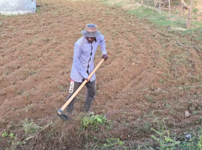 மட்டக்களப்பு மாவட்டத்தில் பெரும் போகத்திற்கான விவசாய நடவடிக்கைகள் ஆரம்பம்