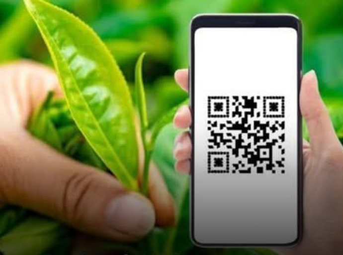 மாத்தறை மாவட்டத்தில் QR குறியீடு மூலம் தேயிலை உர மானியம் வழங்கும் முதல் திட்டம் பிடபெத்தரையில்