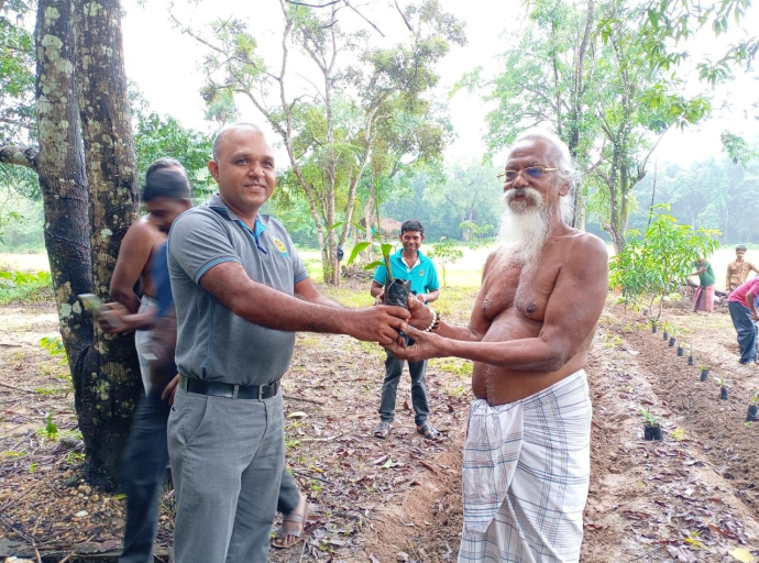 தம்பான பழங்குடி கிராமத்தில் மூலிகை பயிர்ச்செய்கை திட்டம்...