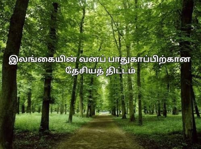 இலங்கையின் வனப் பாதுகாப்பிற்கான தேசியத் திட்டம்
