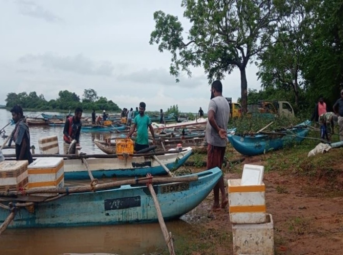 உடவலவ நீர்த்தேக்கத்தில் இரண்டு நாட்களில் ஒரு கோடி ரூபாவிற்கும் அதிக பெறுமதியுள்ள சாதனை அளவிலான நன்னீர் மீன் அறுவடை!