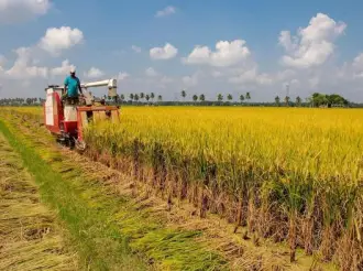 மட்டக்களப்பு மாவட்ட விவசாயிகளின் நெல் கொள்வனவிற்கான பூர்வாங்க பணிகள் நிறைவு
