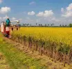 மட்டக்களப்பு மாவட்ட விவசாயிகளின் நெல் கொள்வனவிற்கான பூர்வாங்க பணிகள் நிறைவு