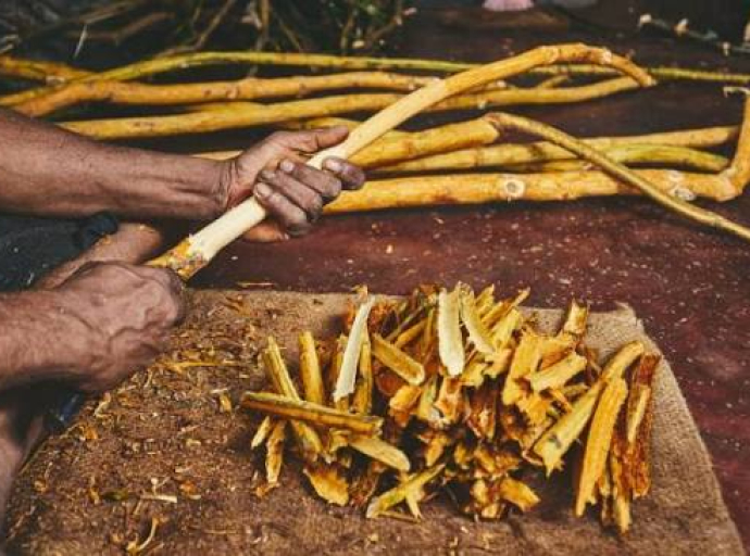 இலங்கையில் 'உயிரியல் கறுவாப்பட்டை பதப்படுத்தும் நிலையம்'